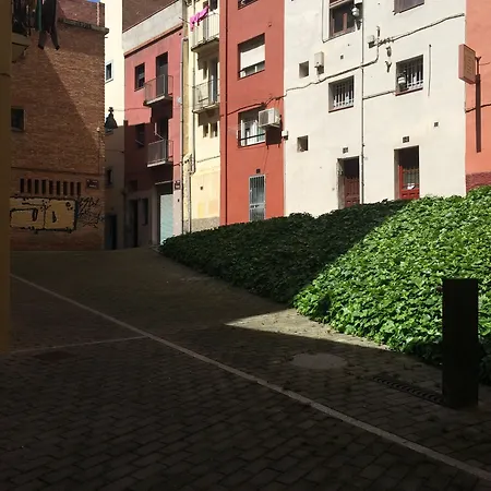 Sm *